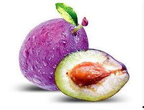 娱乐吃瓜少女西梅拿铁,娱乐吃瓜少女的趣味生活揭秘